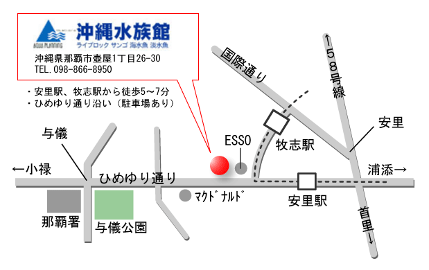 沖縄水族館・那覇本店の地図