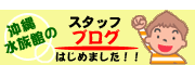 ���ꐅ���ق̃X�^�b�t�u���O