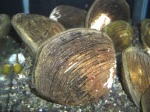 78.2